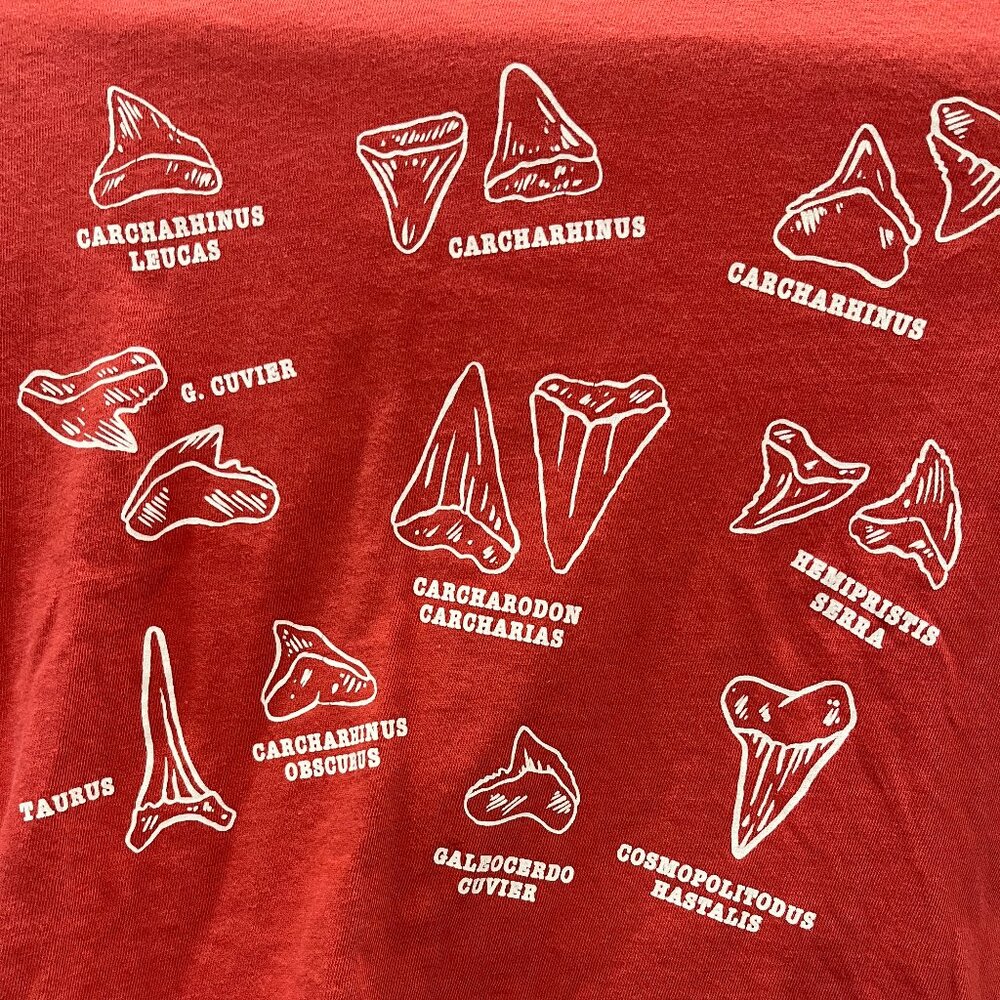 Boy - XS - Crewcuts Long Sleeve Red Dino Teeth Tee